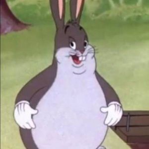 Meet your Posher, Enzo